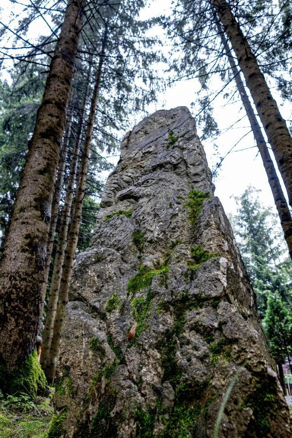 Pensiunea Sura Dacilor - Alex Пояна-Брашов Экстерьер фото